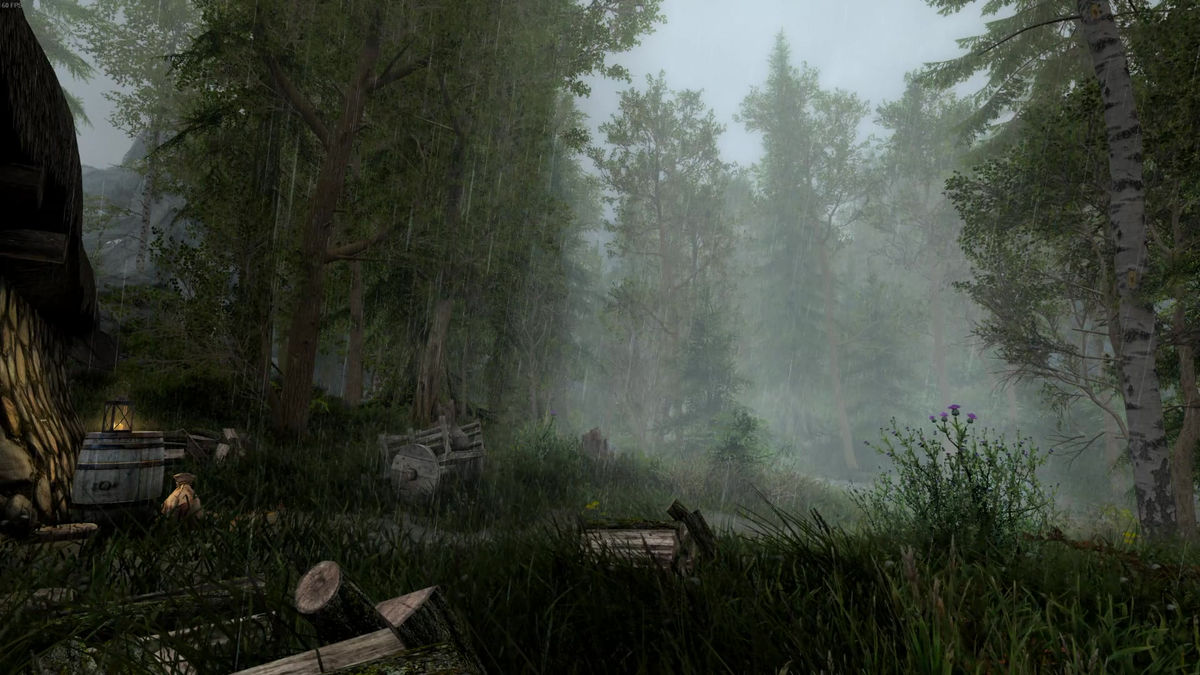 Fantasy Forest in a Storm